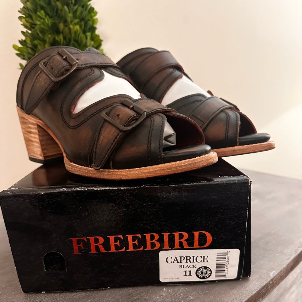 Freebird by Steven Caprice size 11
